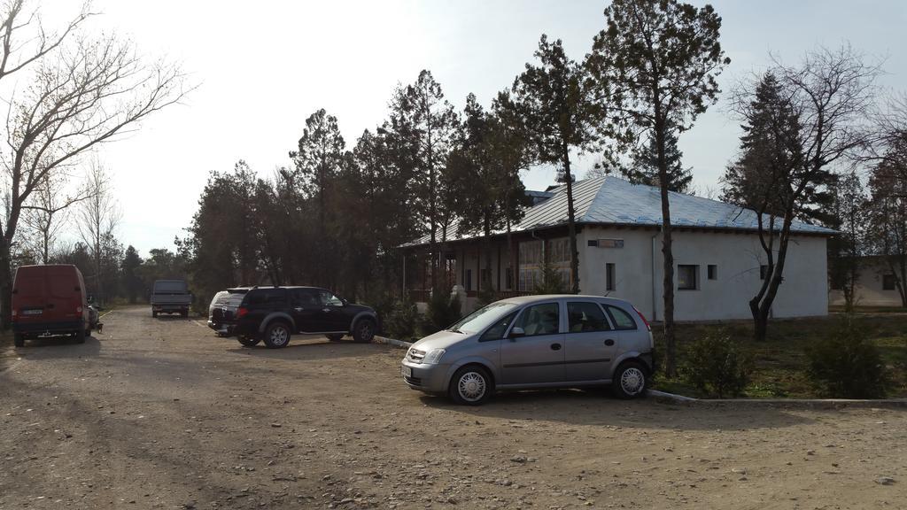 Отель Conacul Balta Alba Экстерьер фото